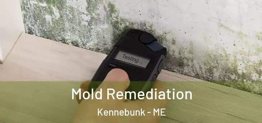 Mold Remediation Kennebunk - ME