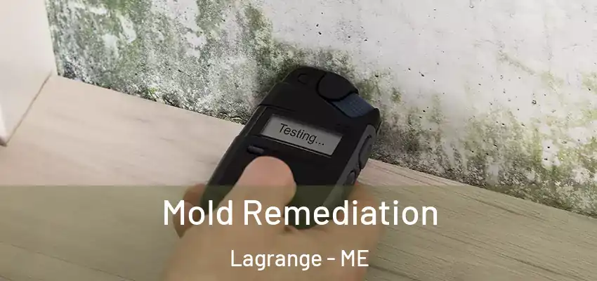  Mold Remediation Lagrange - ME