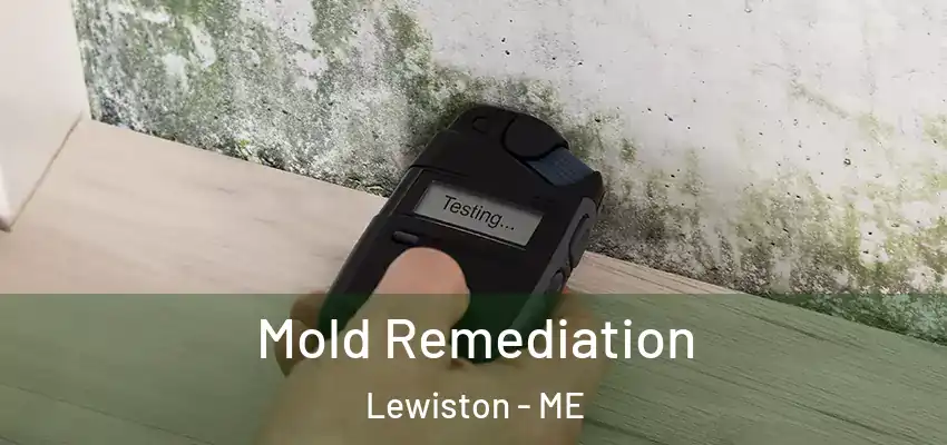  Mold Remediation Lewiston - ME