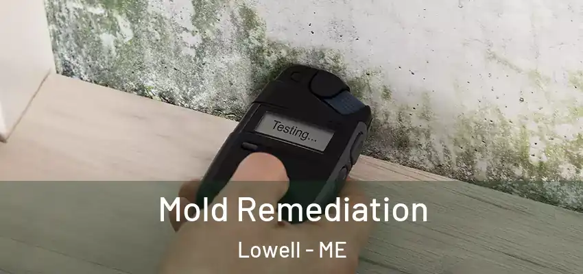  Mold Remediation Lowell - ME