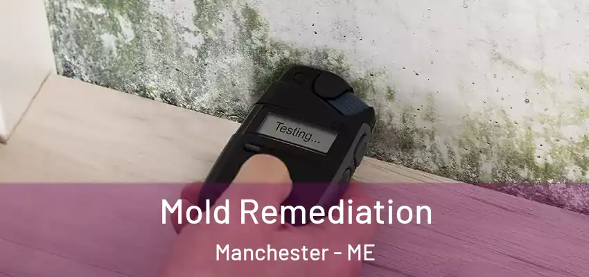  Mold Remediation Manchester - ME