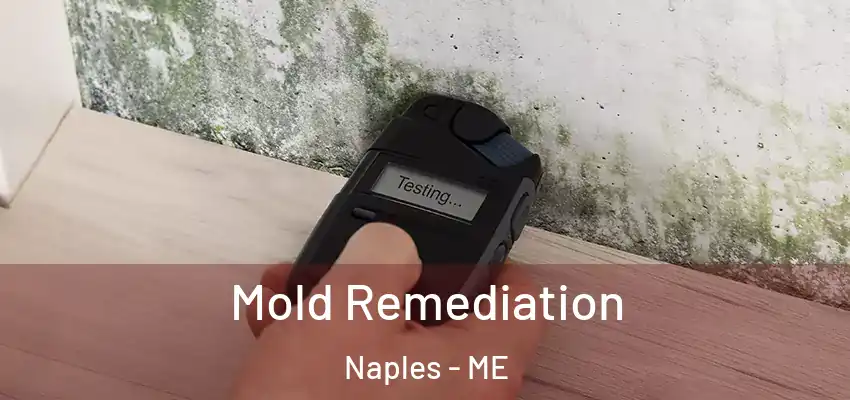  Mold Remediation Naples - ME