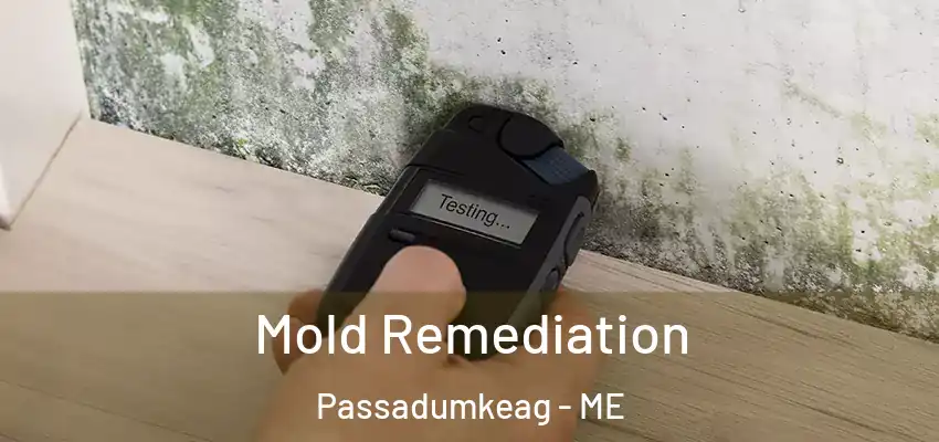  Mold Remediation Passadumkeag - ME