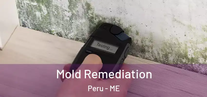  Mold Remediation Peru - ME