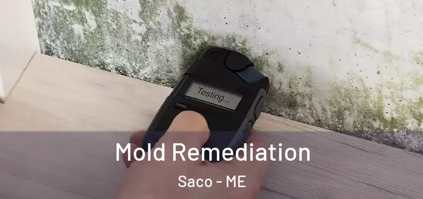  Mold Remediation Saco - ME
