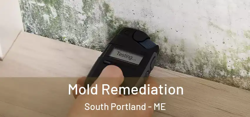  Mold Remediation South Portland - ME
