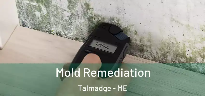  Mold Remediation Talmadge - ME