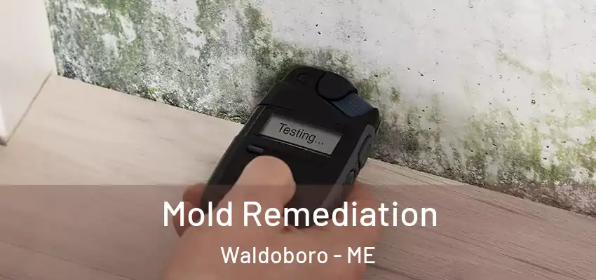  Mold Remediation Waldoboro - ME