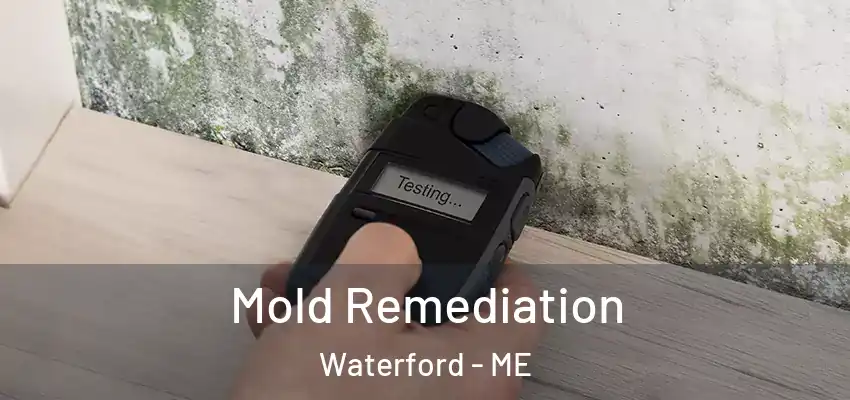  Mold Remediation Waterford - ME