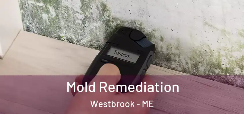  Mold Remediation Westbrook - ME