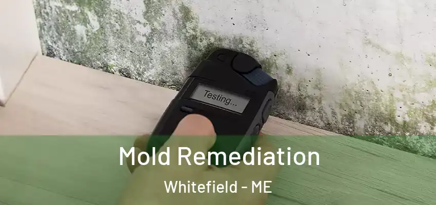  Mold Remediation Whitefield - ME