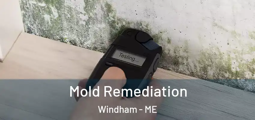  Mold Remediation Windham - ME