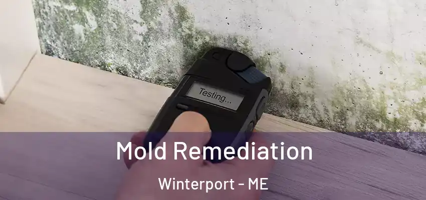  Mold Remediation Winterport - ME