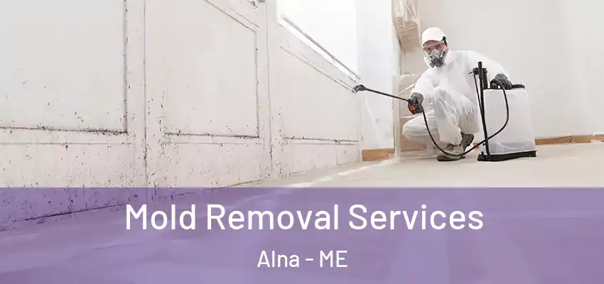  Mold Removal Services Alna - ME