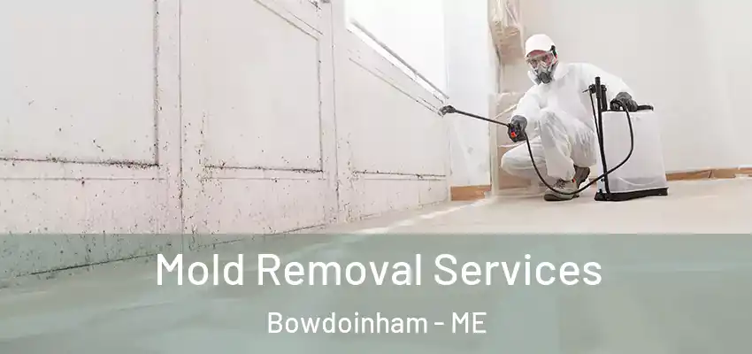  Mold Removal Services Bowdoinham - ME
