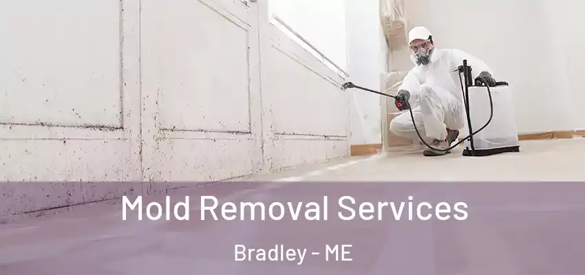  Mold Removal Services Bradley - ME