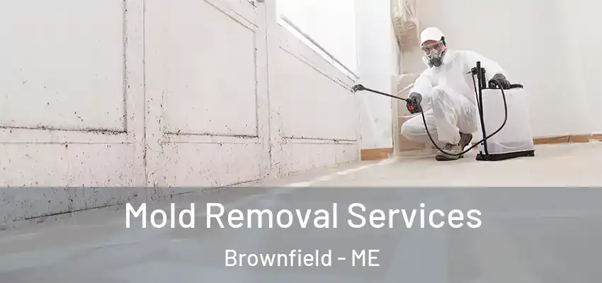  Mold Removal Services Brownfield - ME