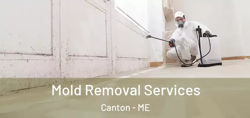  Mold Removal Services Canton - ME