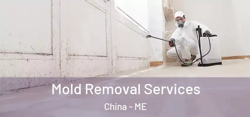  Mold Removal Services China - ME