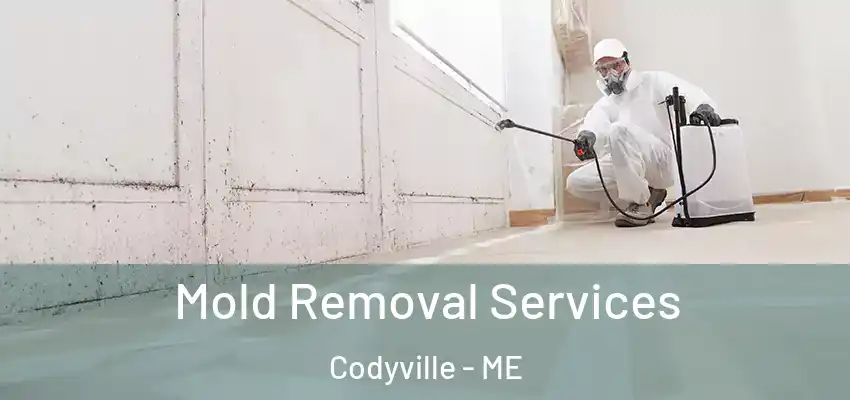  Mold Removal Services Codyville - ME