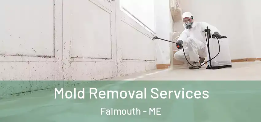  Mold Removal Services Falmouth - ME