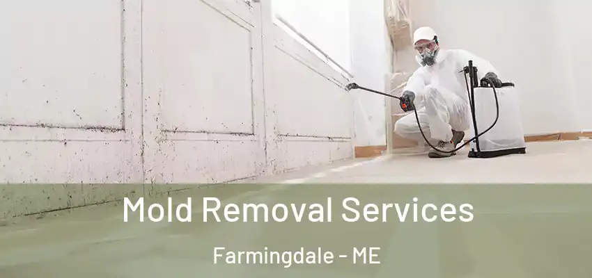 Mold Removal Services Farmingdale - ME