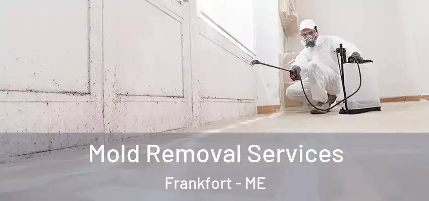  Mold Removal Services Frankfort - ME