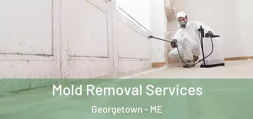  Mold Removal Services Georgetown - ME