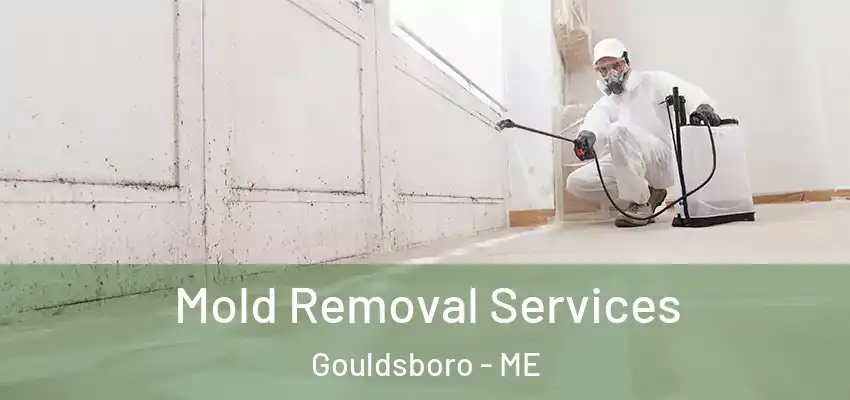  Mold Removal Services Gouldsboro - ME