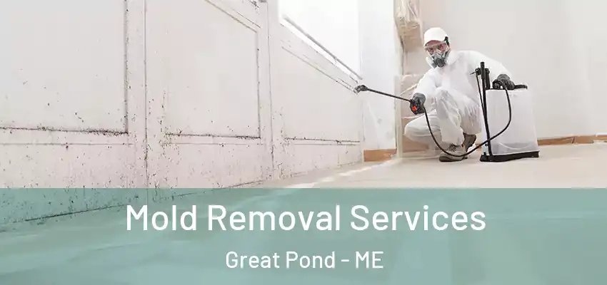  Mold Removal Services Great Pond - ME