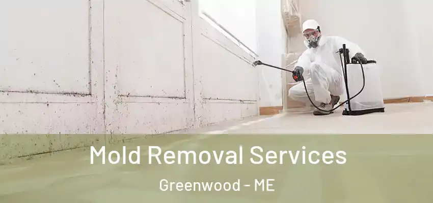  Mold Removal Services Greenwood - ME
