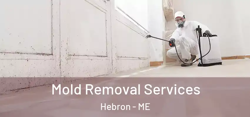  Mold Removal Services Hebron - ME