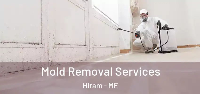  Mold Removal Services Hiram - ME