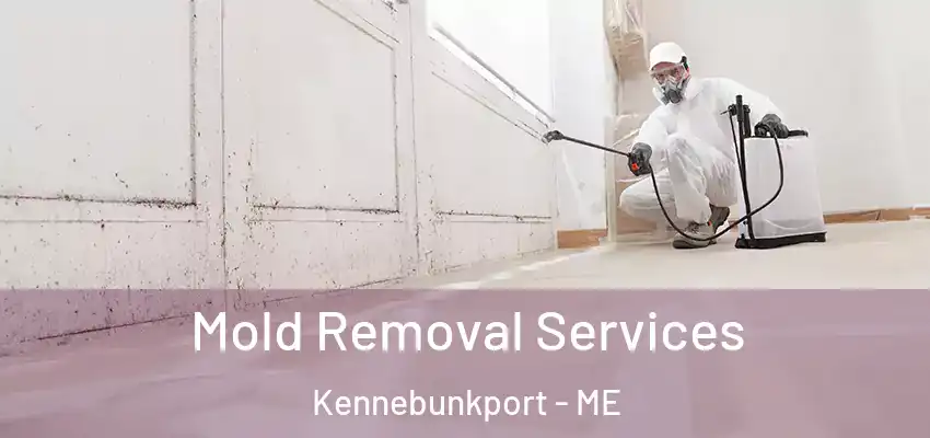  Mold Removal Services Kennebunkport - ME