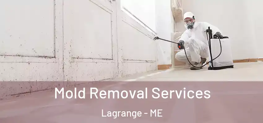  Mold Removal Services Lagrange - ME