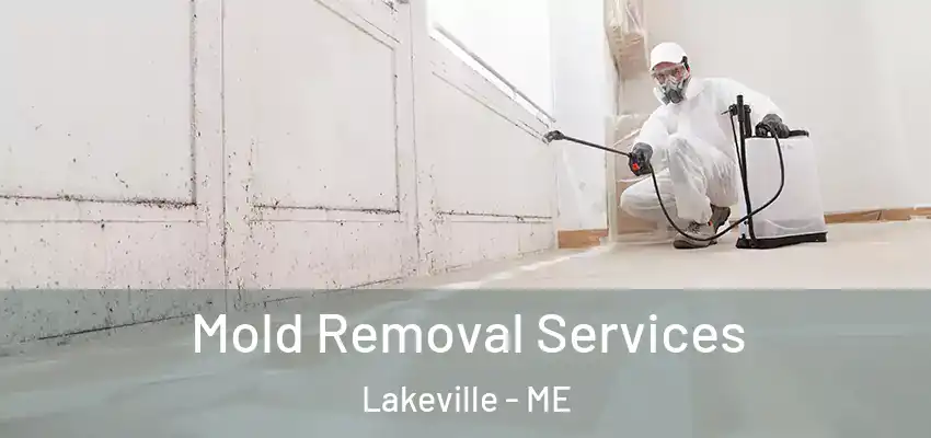  Mold Removal Services Lakeville - ME