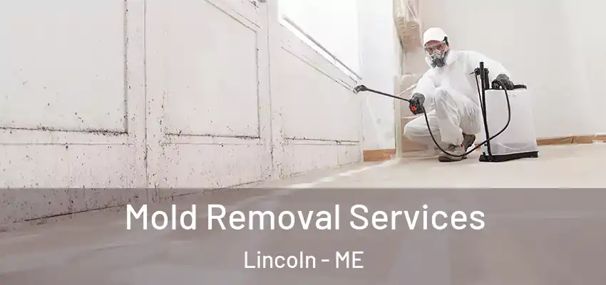  Mold Removal Services Lincoln - ME