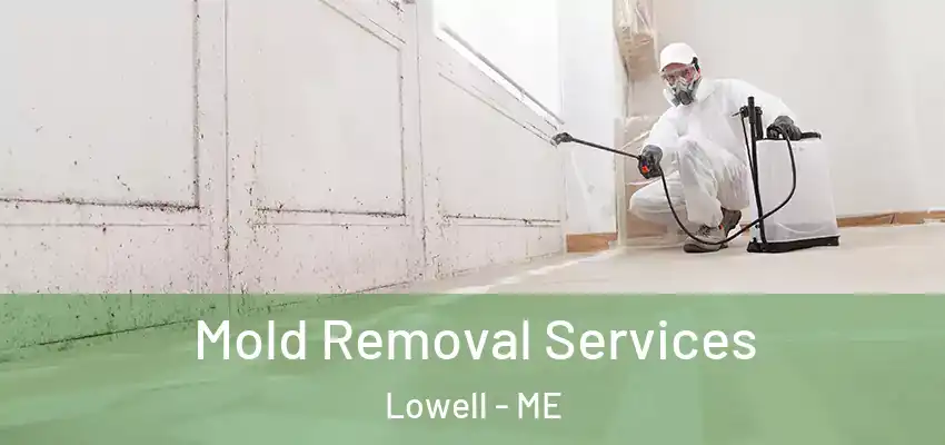  Mold Removal Services Lowell - ME