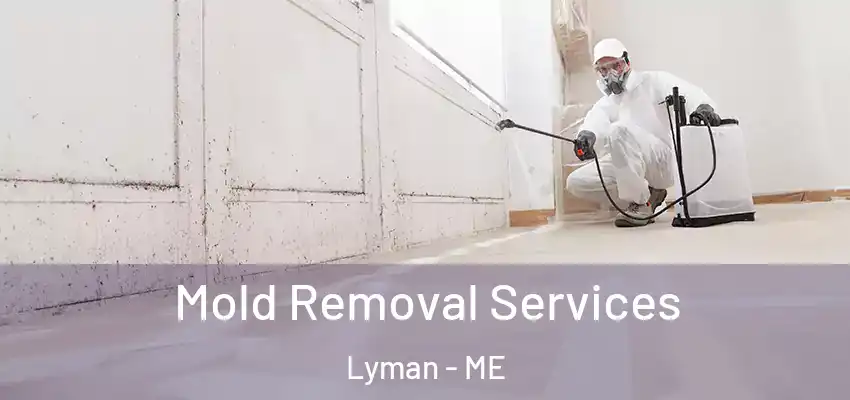  Mold Removal Services Lyman - ME