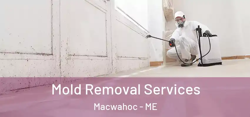  Mold Removal Services Macwahoc - ME