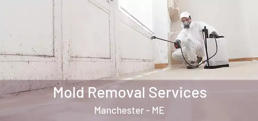  Mold Removal Services Manchester - ME