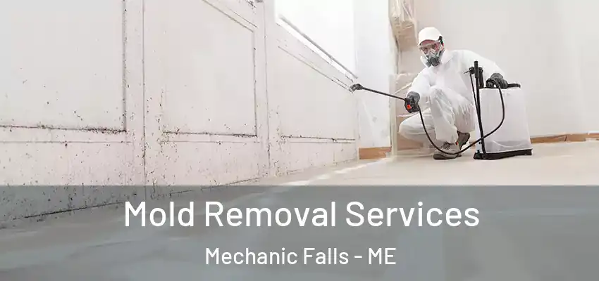  Mold Removal Services Mechanic Falls - ME