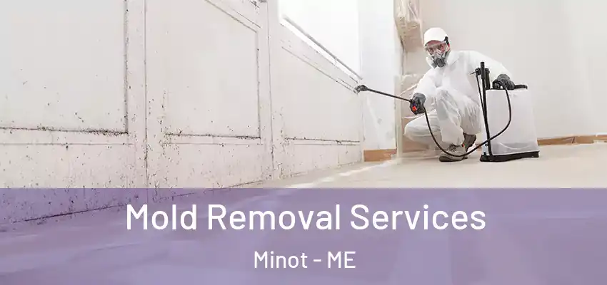  Mold Removal Services Minot - ME