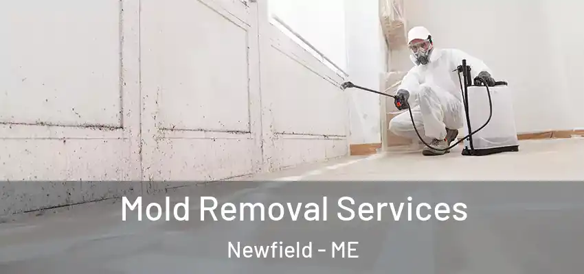 Mold Removal Services Newfield - ME