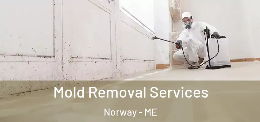  Mold Removal Services Norway - ME