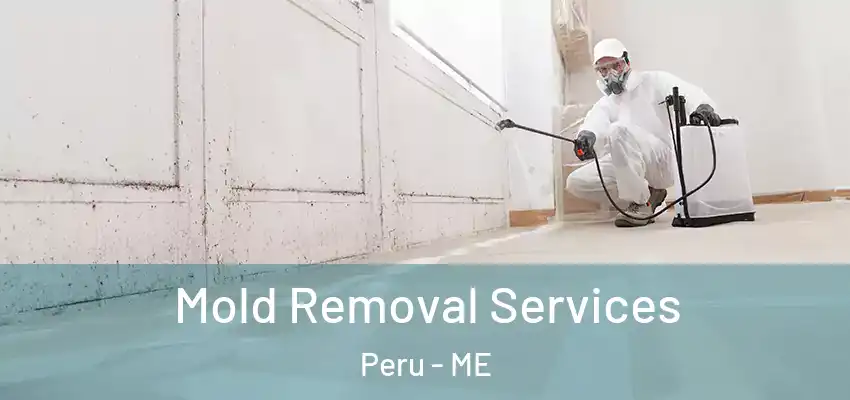 Mold Removal Services Peru - ME