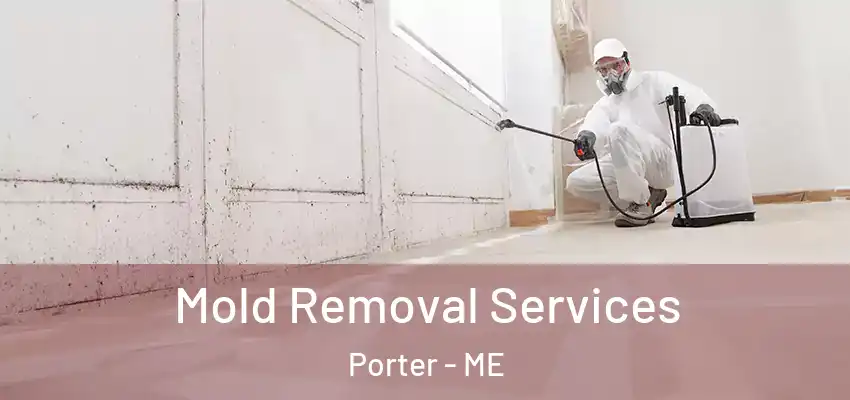  Mold Removal Services Porter - ME