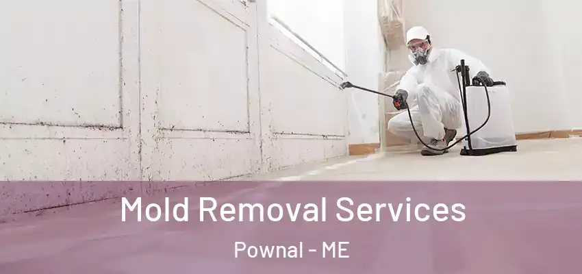  Mold Removal Services Pownal - ME