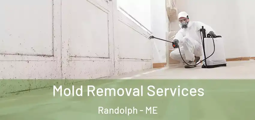  Mold Removal Services Randolph - ME
