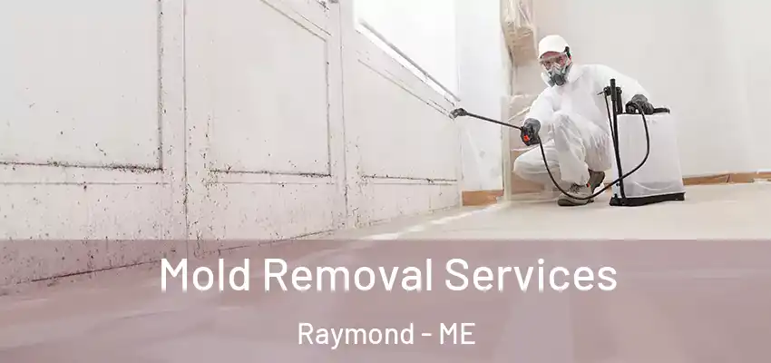  Mold Removal Services Raymond - ME